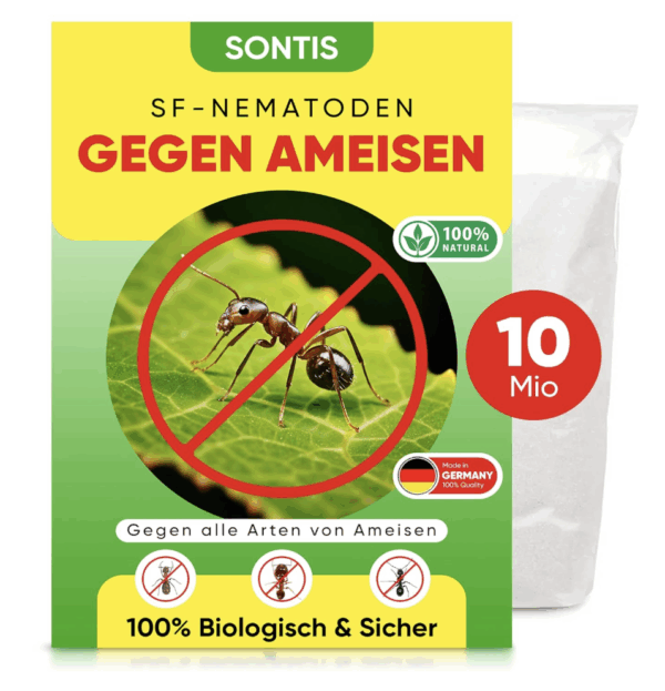 SONTIS - SF-Nematoden gegen Ameisen