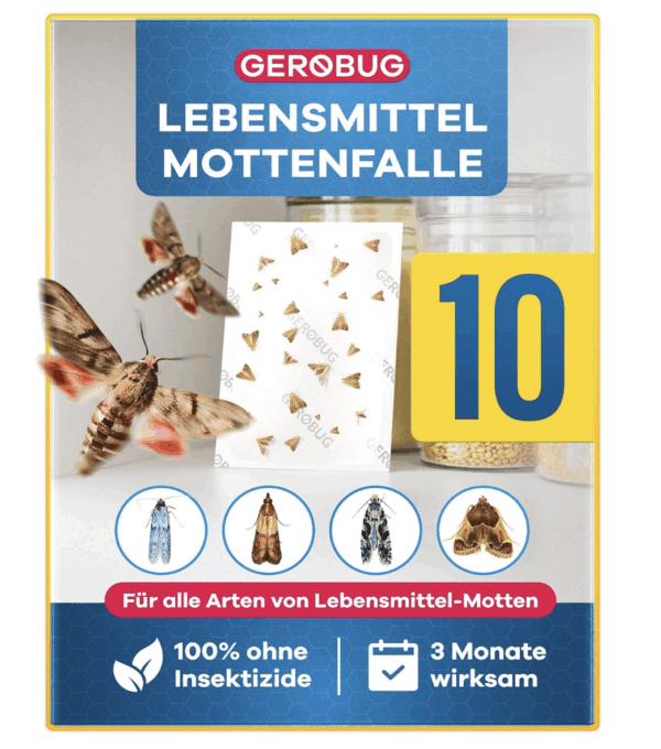 Gerobug - Lebensmittelmottenfalle
