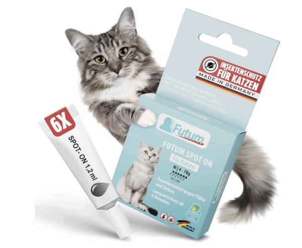 Futum - Spot On Katze