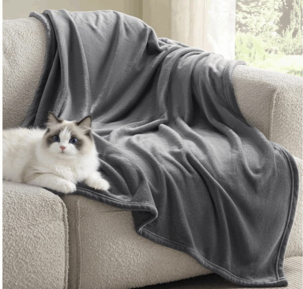 BEDSURE - Kuscheldecke