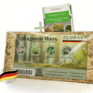FLORALY - Sphagnum Moos