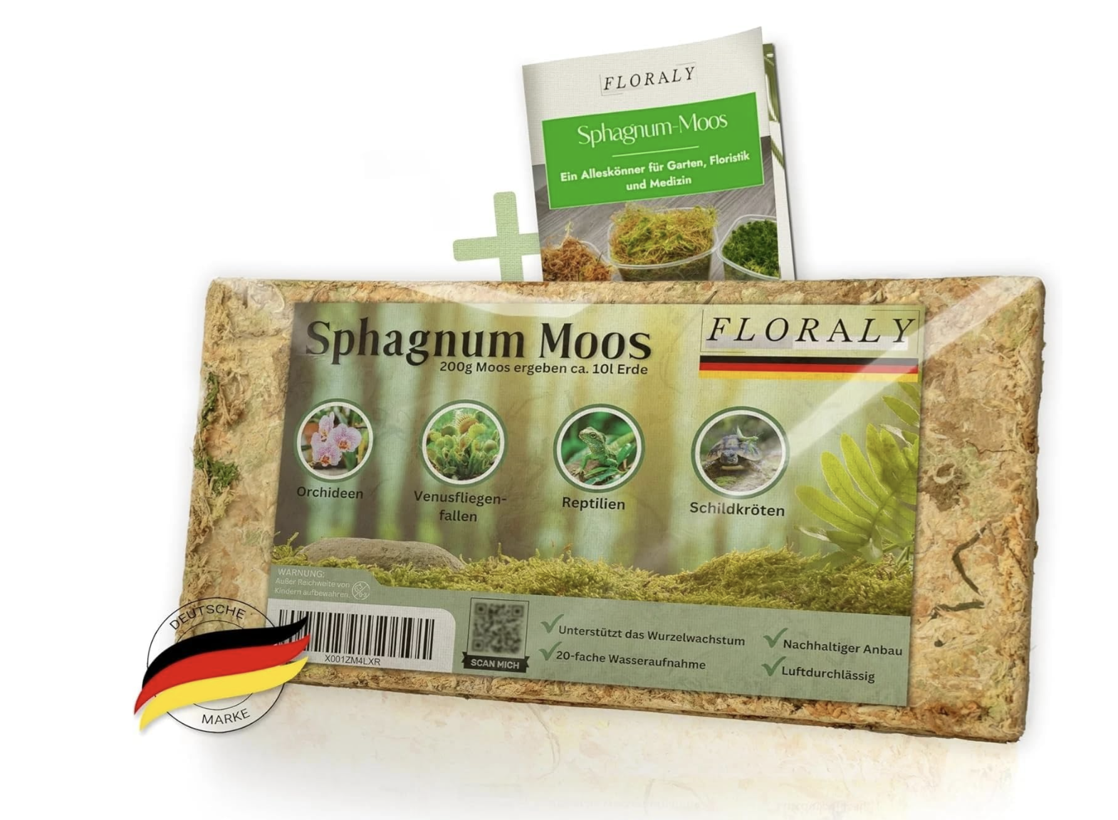 FLORALY - Sphagnum Moos