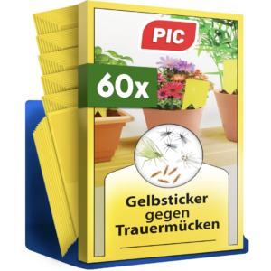 PIC - Gelbsticker Trauermücken