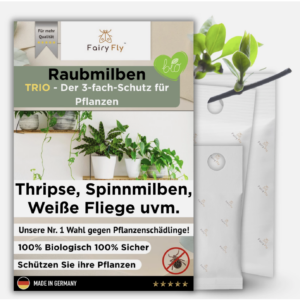 FairyFly® - Raubmilben