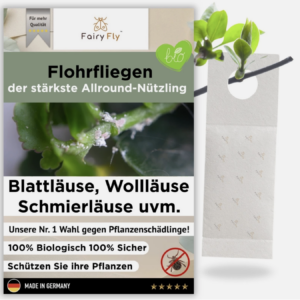 FairyFly® - Florfliegenlarven